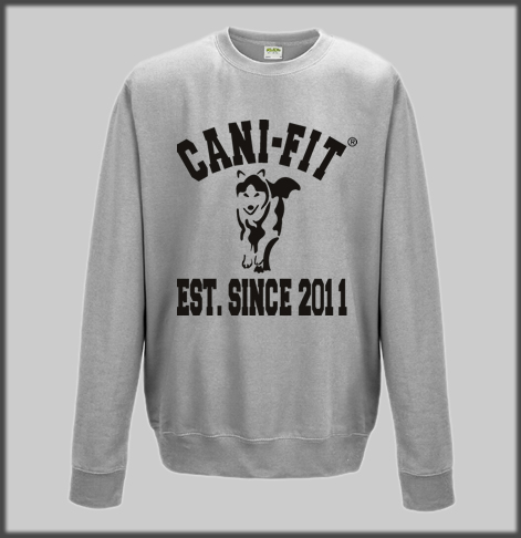 Cani Fit Est Sweatshirt